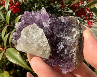 ドゥルージー アメジスト スタンド クラスター JXR アメジスト クラスター ドゥルージー - Etsy 日本