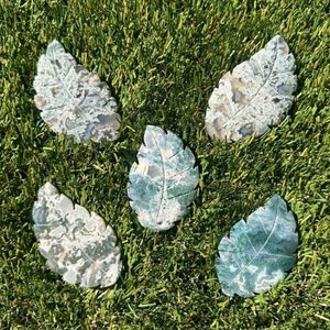 You Choose! Moss Agate Leaf Carvings