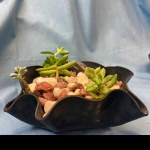 May include: A black vinyl record planter with a wavy edge, filled with small stones and three succulent plants.