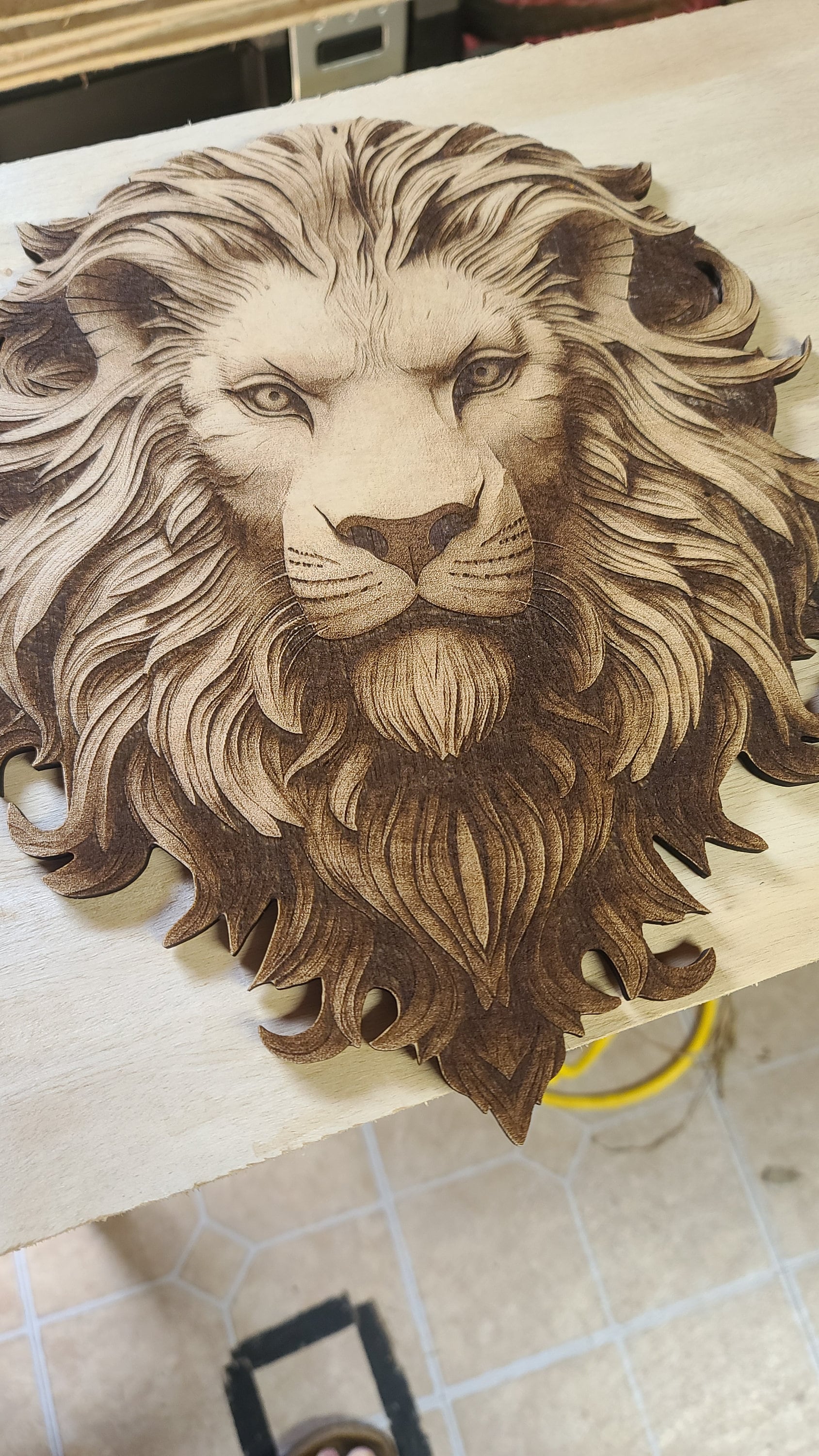 3d Illusion Lions Head for Laser Please Read Description Laser
