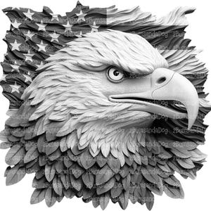 3d Illusion Eagle head American Flag in Background for Laser Please Read Description laser ready