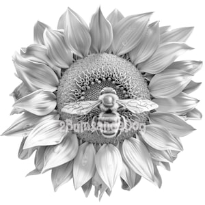 May include: A black and white photograph of a bee on a sunflower. The bee is in the center of the sunflower and its wings are spread out. The sunflower is in full bloom and has many petals.