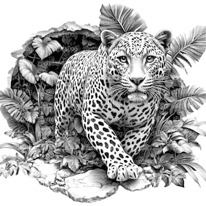 3d illusion of a Leopard in the Jungle for Laser Please Read Description laser ready 4 ZIP Files