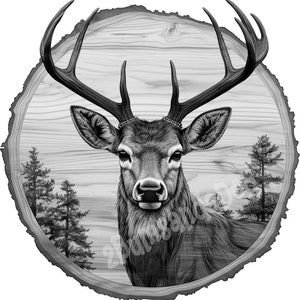 3d Illusion Deer Head on Wood for Laser Please Read Description laser ready