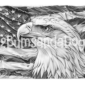 3d illusion of a Eagle Head in front of an American Flag for Laser Please Read Description laser ready 4 ZIP Files