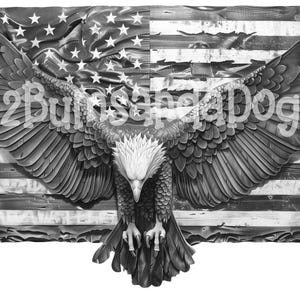 3d illusion of an Eagle with his Head Bowed in front of the American Flag for Laser Please Read Description laser ready 4 ZIP Files