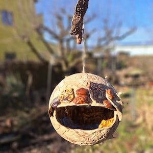 Vogelfutterhaus Vogeltränke Garten Vögel Vogelfutter Meisenknödel