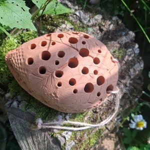 Blumenampel Blumenvase Eidechse Echse Blumentopf Hängepflanze