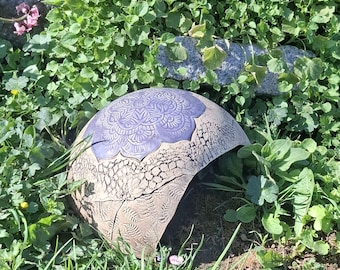 Schildkröte  Igel Unterschlupf Höhle