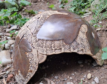 Schildkröte  Igel Unterschlupf Höhle