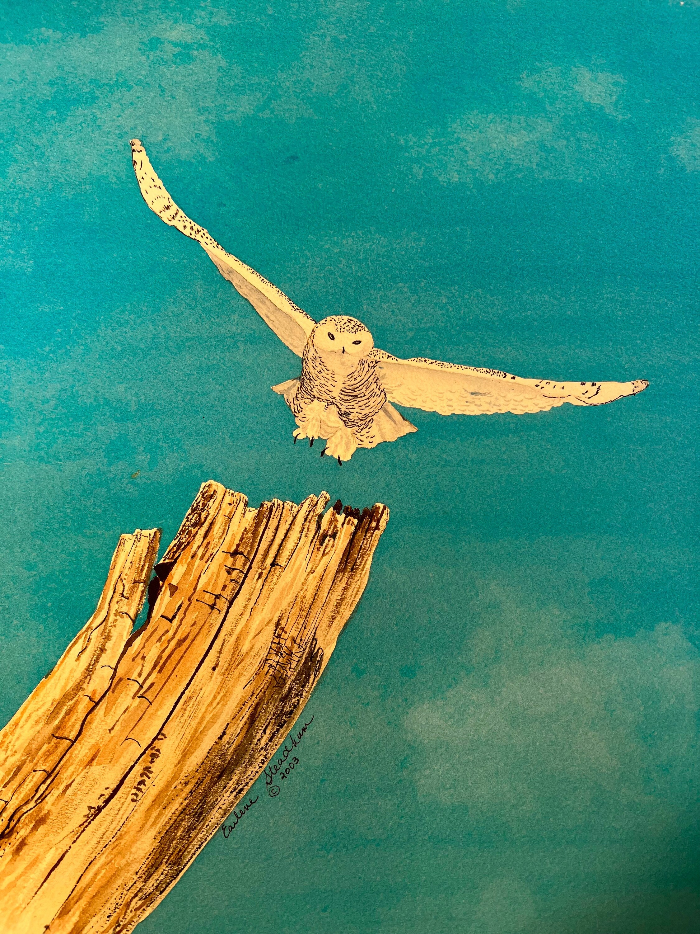 OWL IN FLIGHT Original hand painted watercolor bird painting by Earlene Steadham