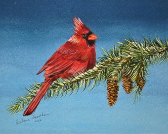 WINTER CARDINAL Original hand painted watercolor print still life print by Earlene Steadham