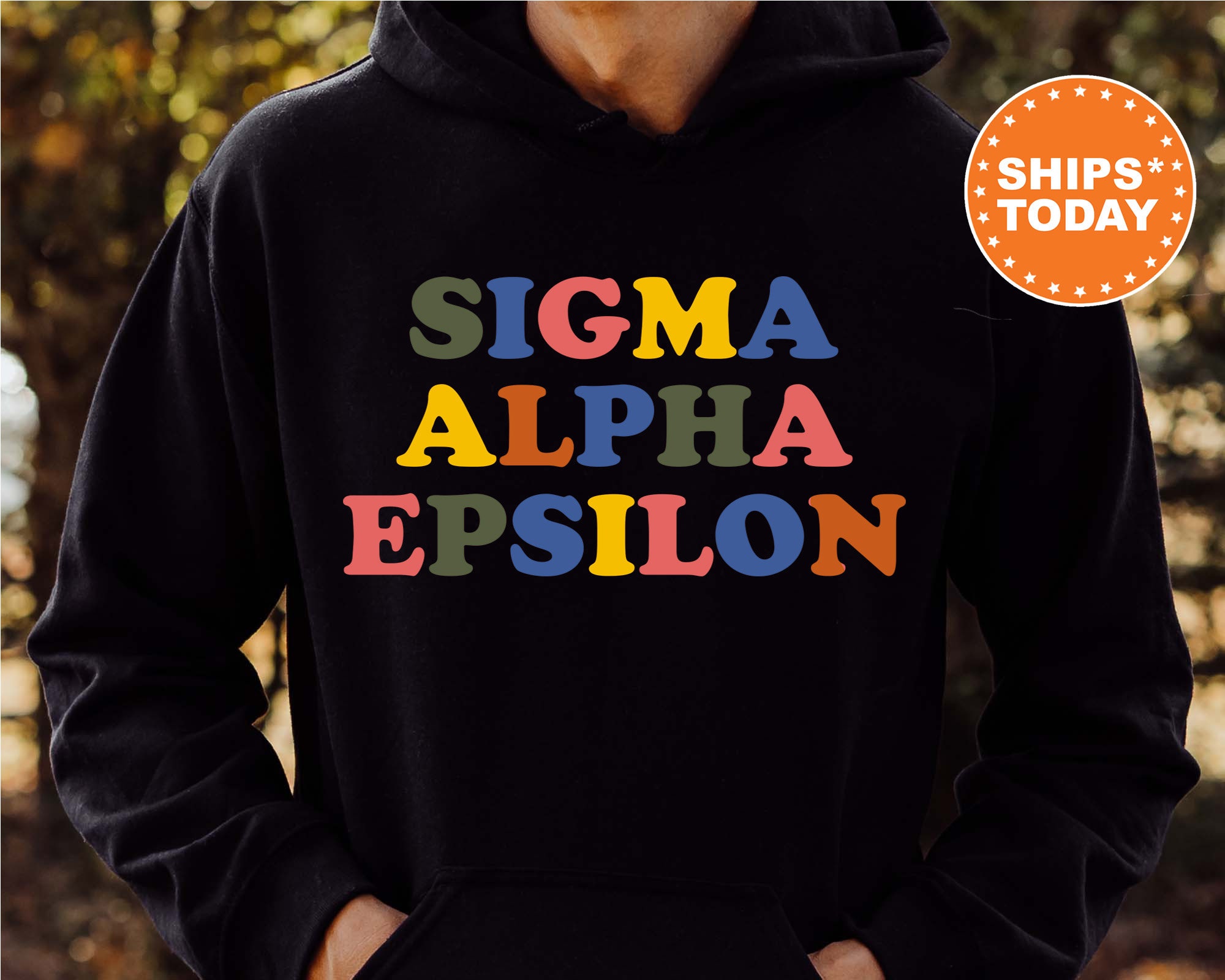 Sigma Alpha Epsilon Retro Letters Fraternity Sweatshirt SAE - Etsy
