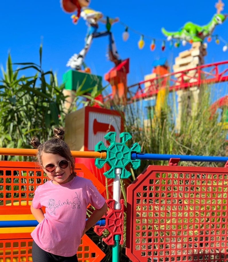 May include: A young girl wearing pink sunglasses and a pink t-shirt with the word "Blinky" on it stands in front of a colorful playground structure. The structure is made of large, colorful blocks and has a green, star-shaped toy on top.