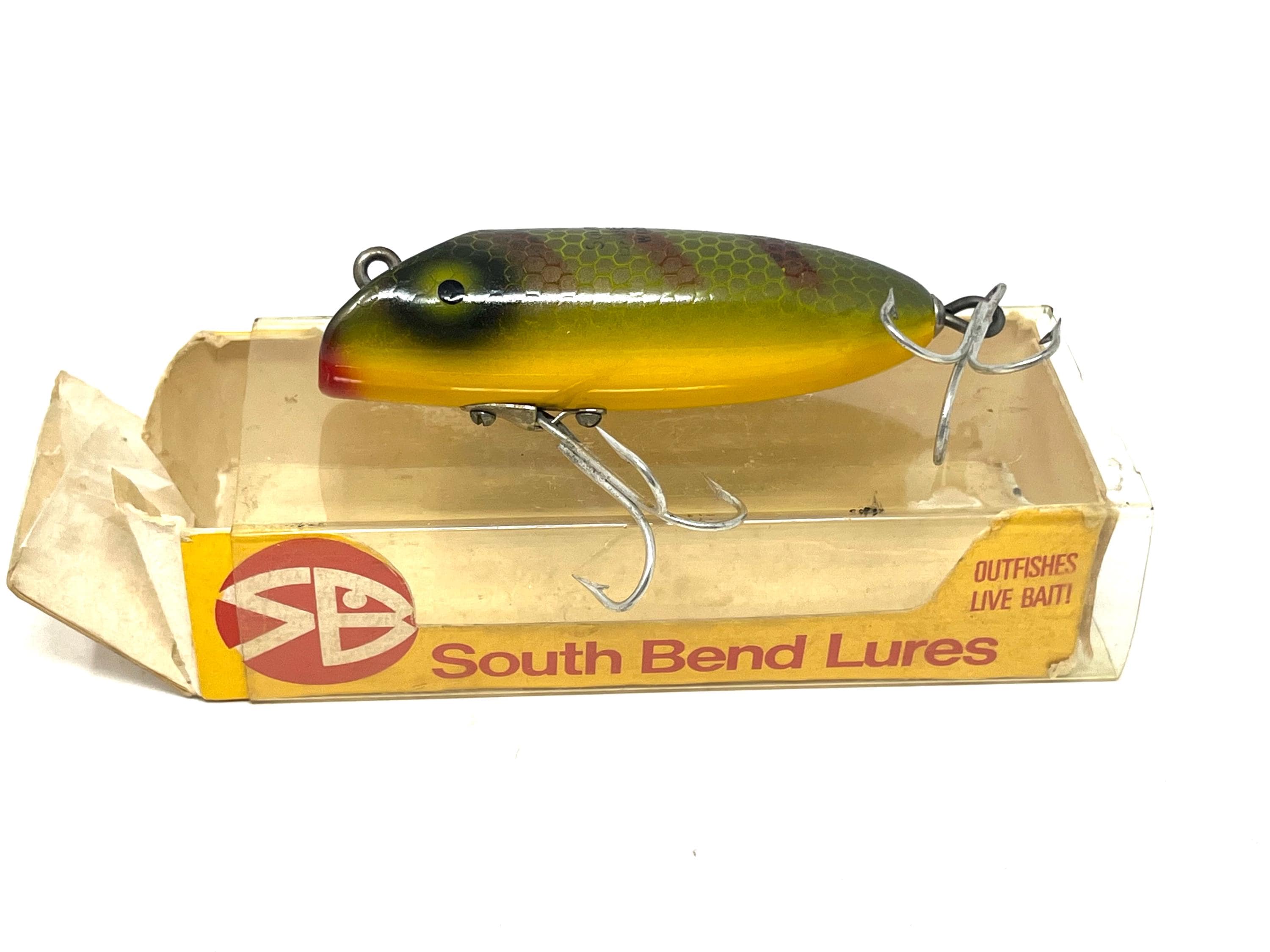 bionic lure fishing 5PCS Glow Bionic Fly Fishing Lures, Soft Bionic Fly Fishing Bait with  Simulated Flies Attractor Hook, Glow-in-The-Dark Swimming Lure for Trout  Bass