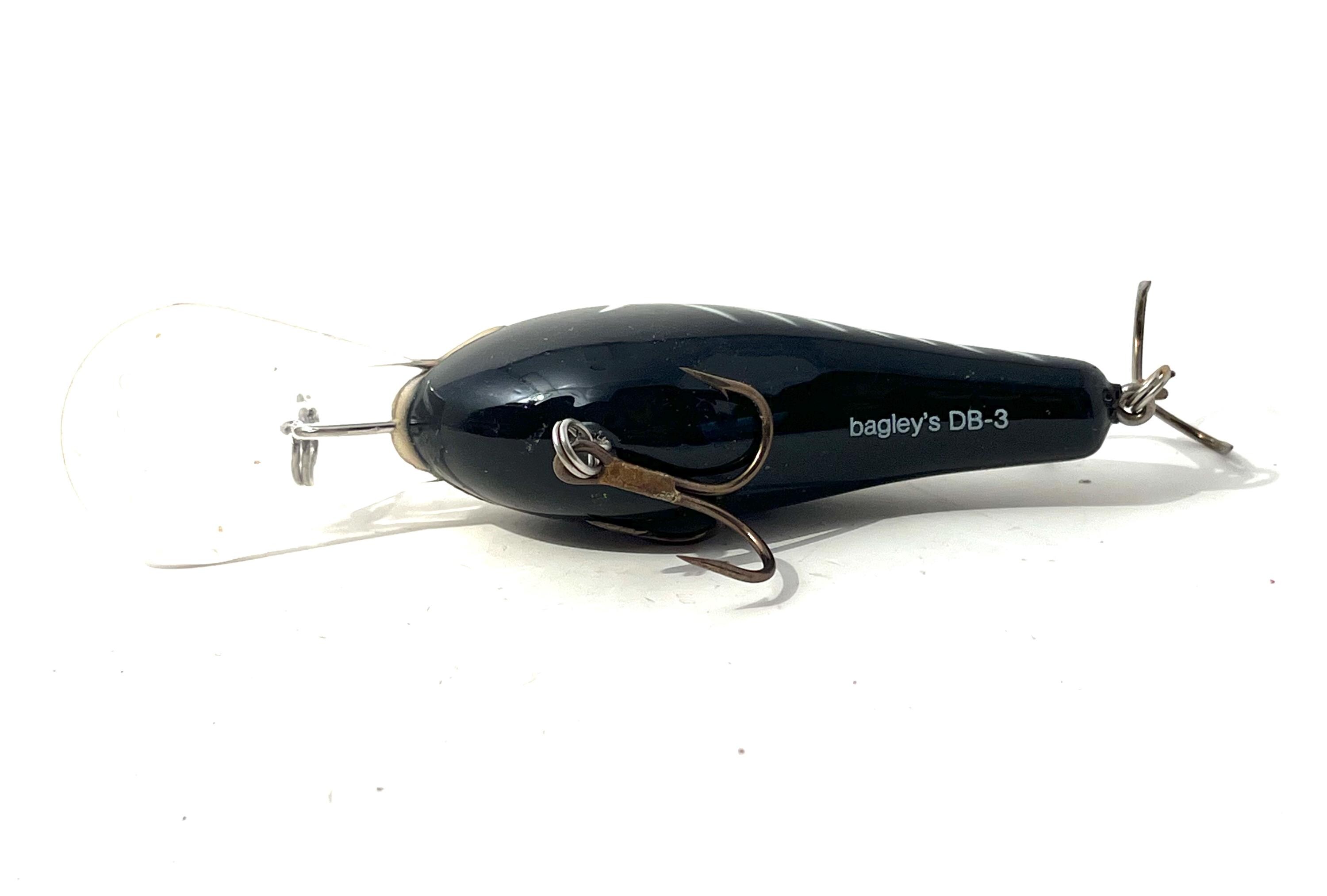 carbon fibre telescopic fishing pole Comparing Telescopic Rods: Carbon Fiber vs. Fiberglass  Plusinno