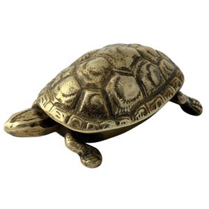 Può includere: Una statuetta di tartaruga in ottone con un motivo a guscio dettagliato e arti distesi. La scultura ha una finitura metallica ed è ambientata su uno sfondo bianco. Sono visibili la testa e le zampe della tartaruga.