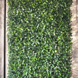 Pannelli da parete in erba artificiale, pannelli da parete in siepe di bosso (60 cm x 40 cm)