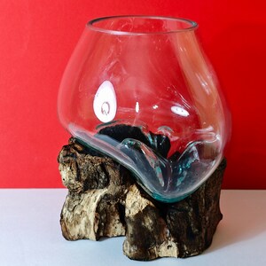 Un superbe petit bol à punch ou petit aquarium en verre soufflé