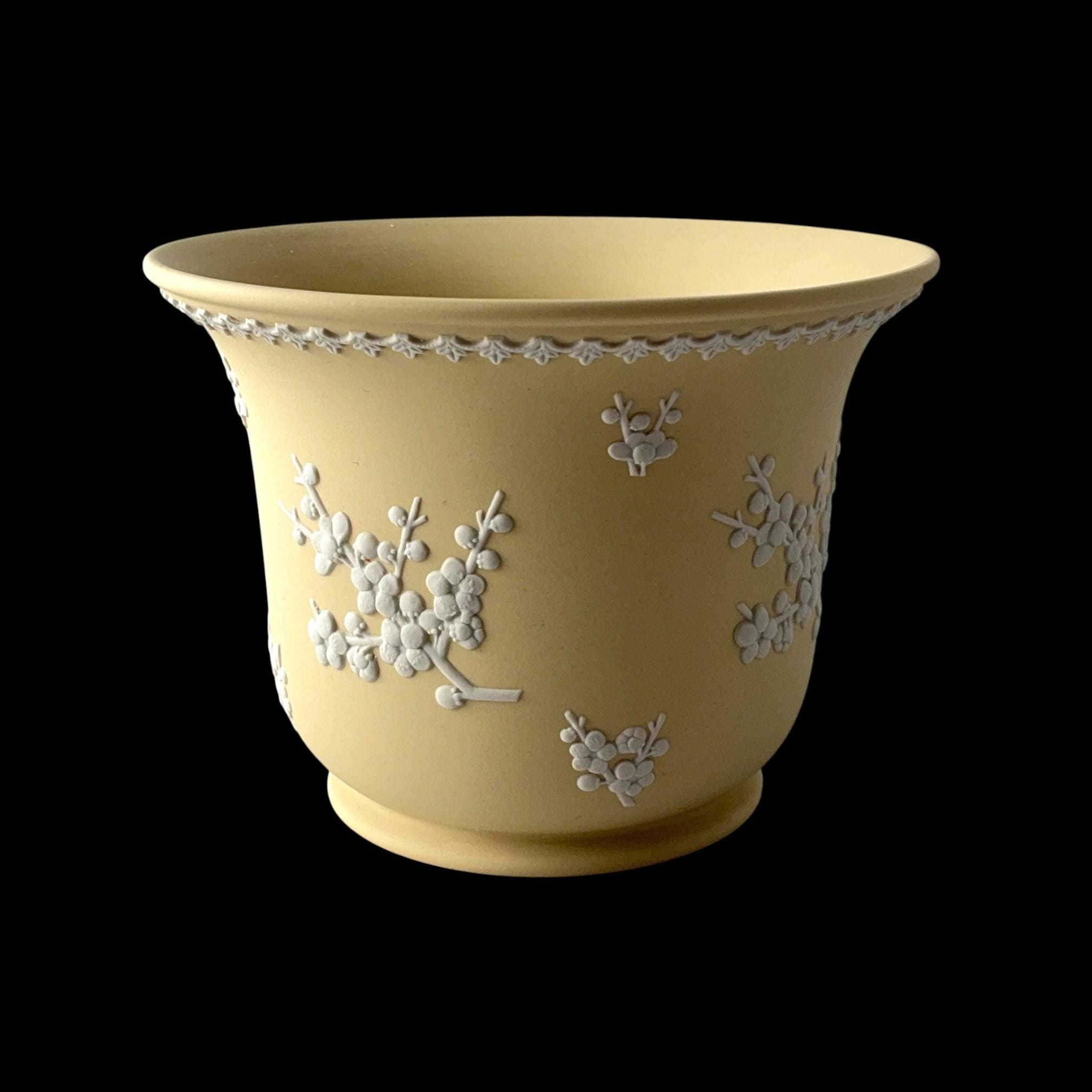 11cm planter yellow - Etsy 日本