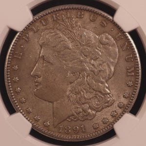 May include: A silver coin from 1891, featuring a profile of a woman and the inscriptions "E PLURIBUS UNUM" and "LIBERTY". The coin is encased in a protective holder, showcasing its details.