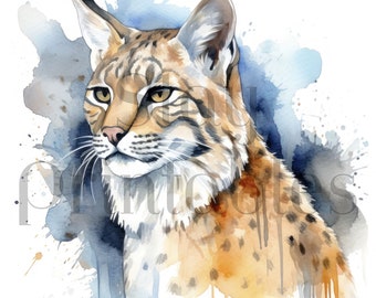 Watercolor Lynx Clipart: Jungle Wildlife Art (JPGs)