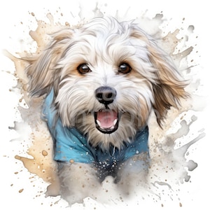 Havanese Pet Dog Clipart - 12 High Quality JPGs + Bonus Files- Digital Download - Card Making, Clip Art, Digital Paper Craft