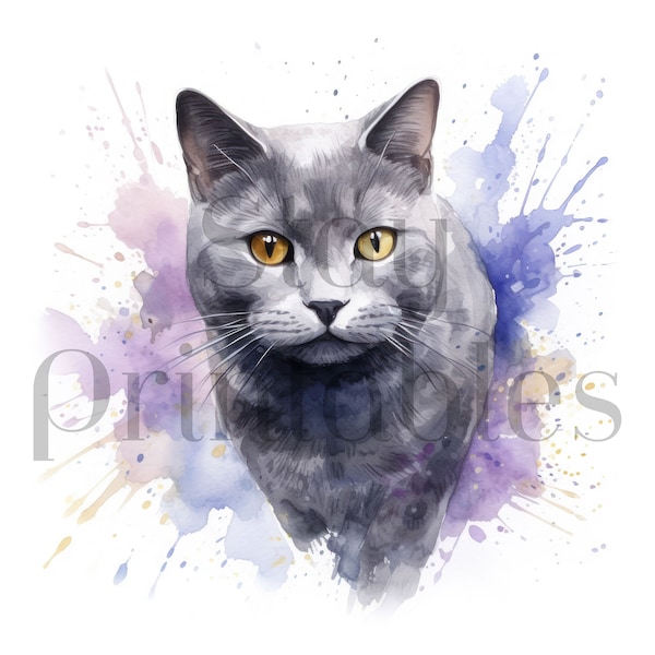 Chartreux Cat High Quality JPGs - Best for Card Making, Clip Art, Paper Craft, Watercolor Art, Sublimation, Tshirt Design.