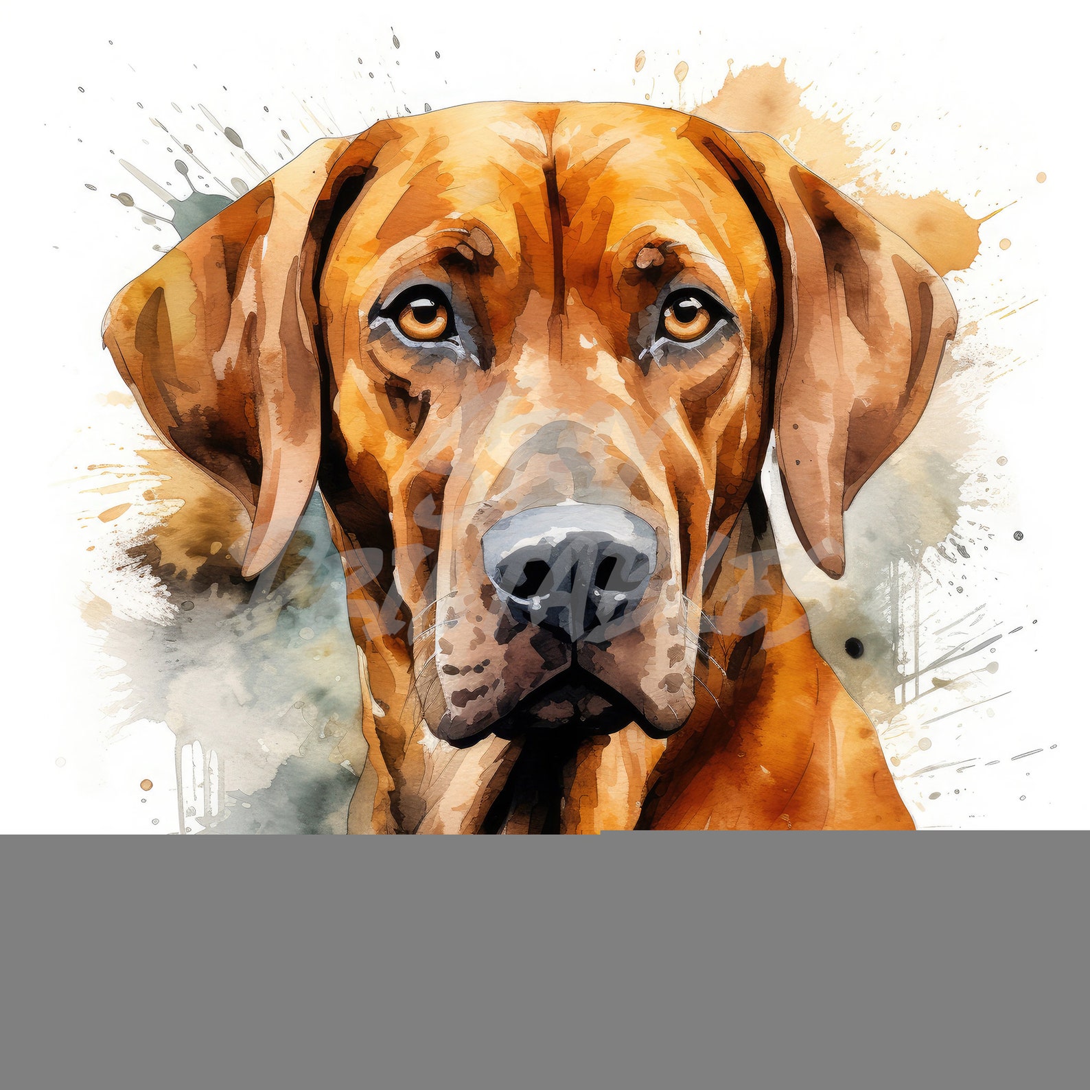Rhodesian Ridgeback Pet Dog Clipart - 12 High Quality Jpgs + Bonus ...