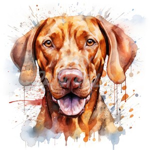 Vizsla Haustier Hund Clipart - 12 hochwertige JPGs + Bonus Dateien - digitaler Download - Card Making, Clip Art, Paper Craft
