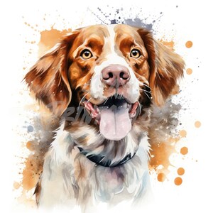 Brittany Spaniel Pet Dog Clipart - 12 JPG di alta qualità + File Bonus - Download digitale - Creazione di carte, Clip Art, Mestiere con la carta