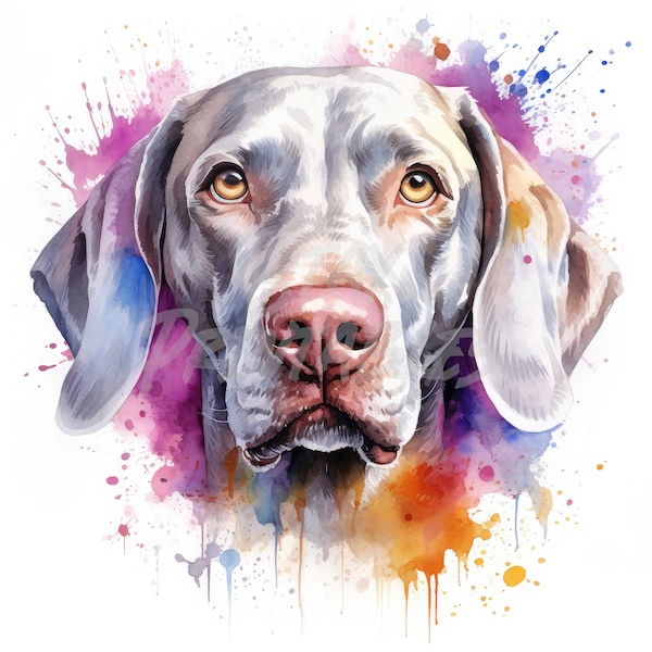 Weimaraner Pet Dog Clipart - 12 High Quality JPGs + Bonus Files- Digital Download - Card Making, Clip Art, Paper Craft