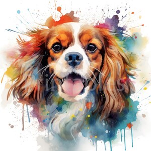 Cavalier King Charles Spaniel Pet Dog Clipart - 12 hoge kwaliteit JPG's + bonusbestanden- Digitale download - Card Making, Clip Art, Paper Craft