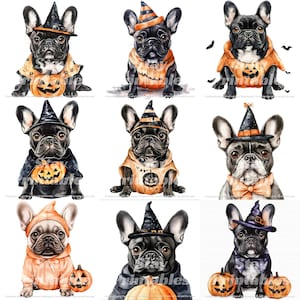 Französische Bulldogge Halloween Kostüm Clipart Set, Süßer Hund Kürbis Hexe Digital Art