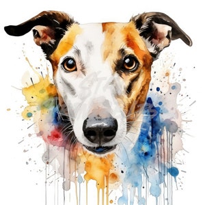 Greyhound Pet Dog Clipart - 12 JPG di alta qualità + File Bonus - Download digitale - Creazione di carte, Clip Art, Mestiere con la carta
