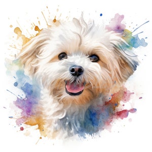 Malteser Hund Clipart - 12 hochwertige JPGs + Bonus Dateien - digitaler Download - Card Making, Clip Art, Digital Paper Craft