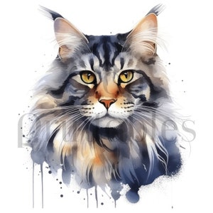 Maine Coon Cat JPGs de haute qualité - Idéal pour la fabrication de cartes, Clip Art, Paper Craft, Aquarelle Art, Sublimation, Tshirt Design.
