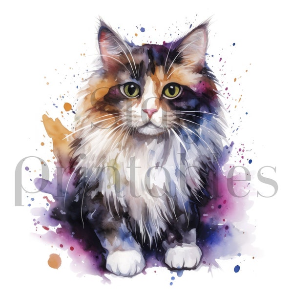 Ragamuffin Cat High Quality JPGs - Best for Card Making, Clip Art, Paper Craft, Watercolor Art, Sublimation, Tshirt Design.