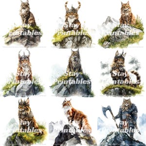 Maine Coon Wikinger Krieger Clipart Set, Nordische Katze Fantasy Art Bundle