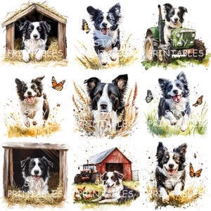 Clipart di vita in fattoria di Border Collie, illustrazioni di acquerelli di cani rustici