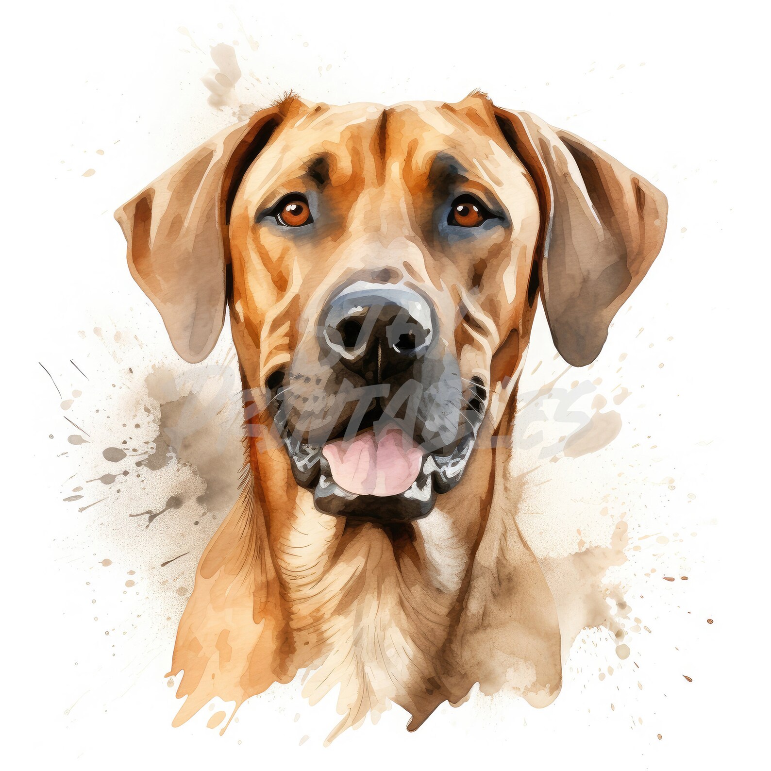 Rhodesian Ridgeback Pet Dog Clipart - 12 High Quality Jpgs + Bonus ...