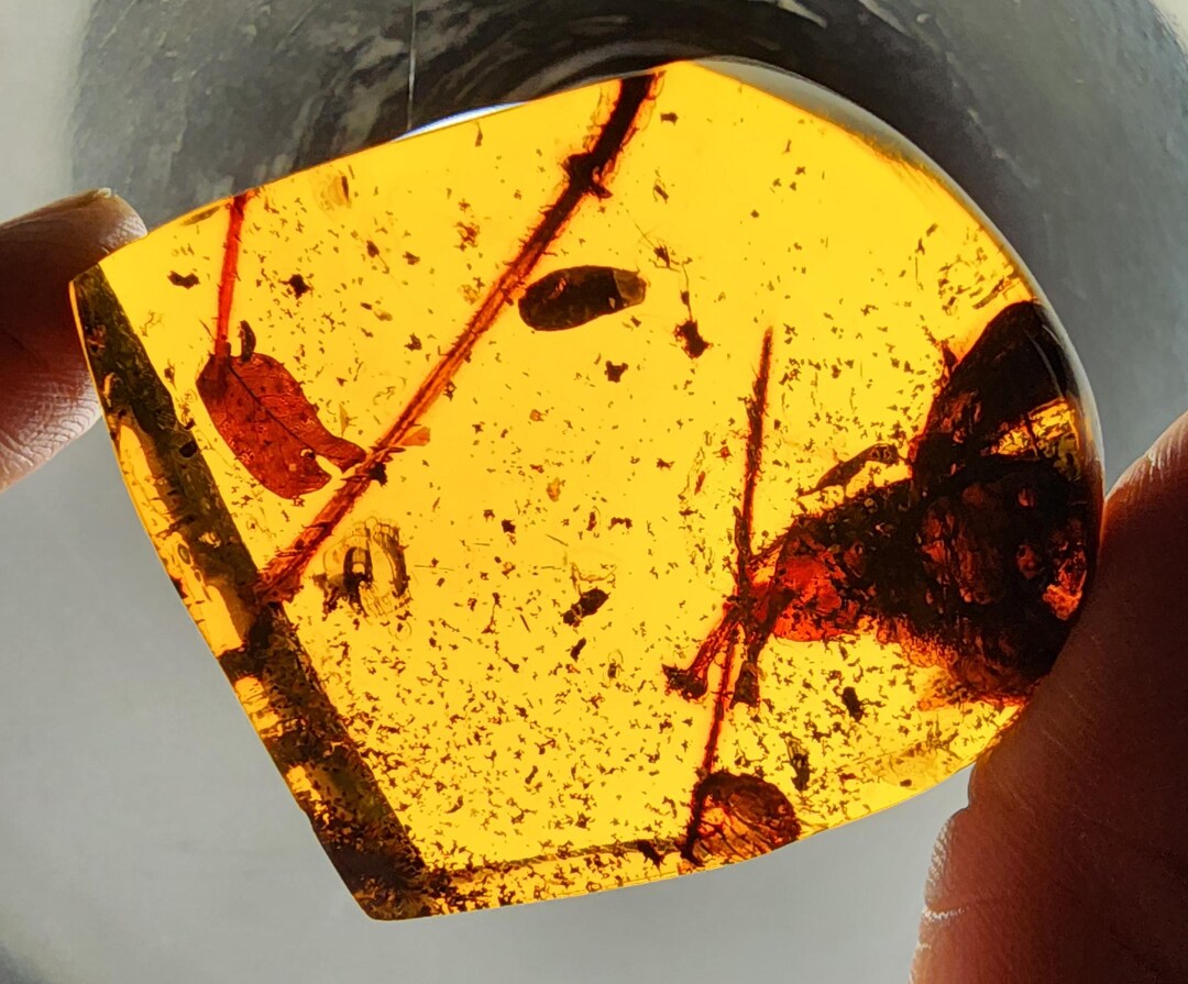 Amber With Inclusions - Etsy
