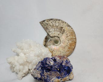 Wonderful White Aragonite Cluster from Mexico