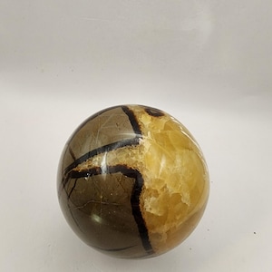 Caramel Brown Septarian Sphere