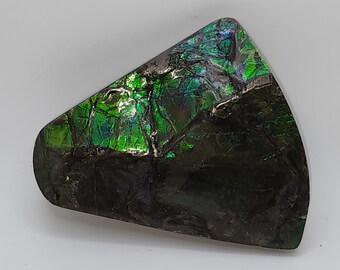 Astonishing Blue-Green Ammolite