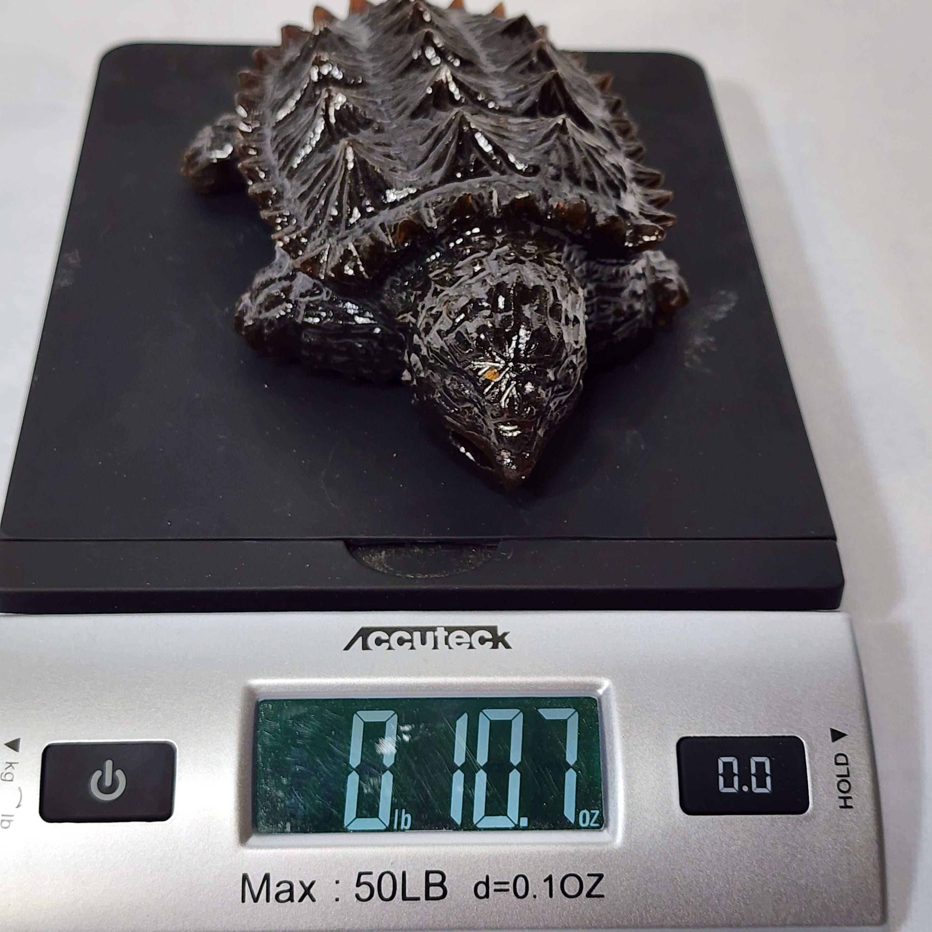 Snazzy Sculpted Snapping Turtle - Etsy