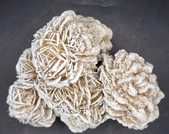 Desert Rose (selenite)