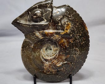 Charming Carved Chameleon