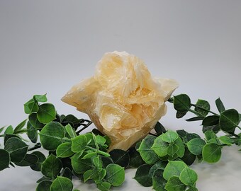 Delicate Angel Wing Calcite