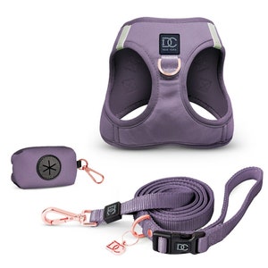 Oprah's 'Best Dog Walking Set" - Luxury No-Pull, Step-In Dog and Puppy Harness Leash Walking Set - Modern Purple